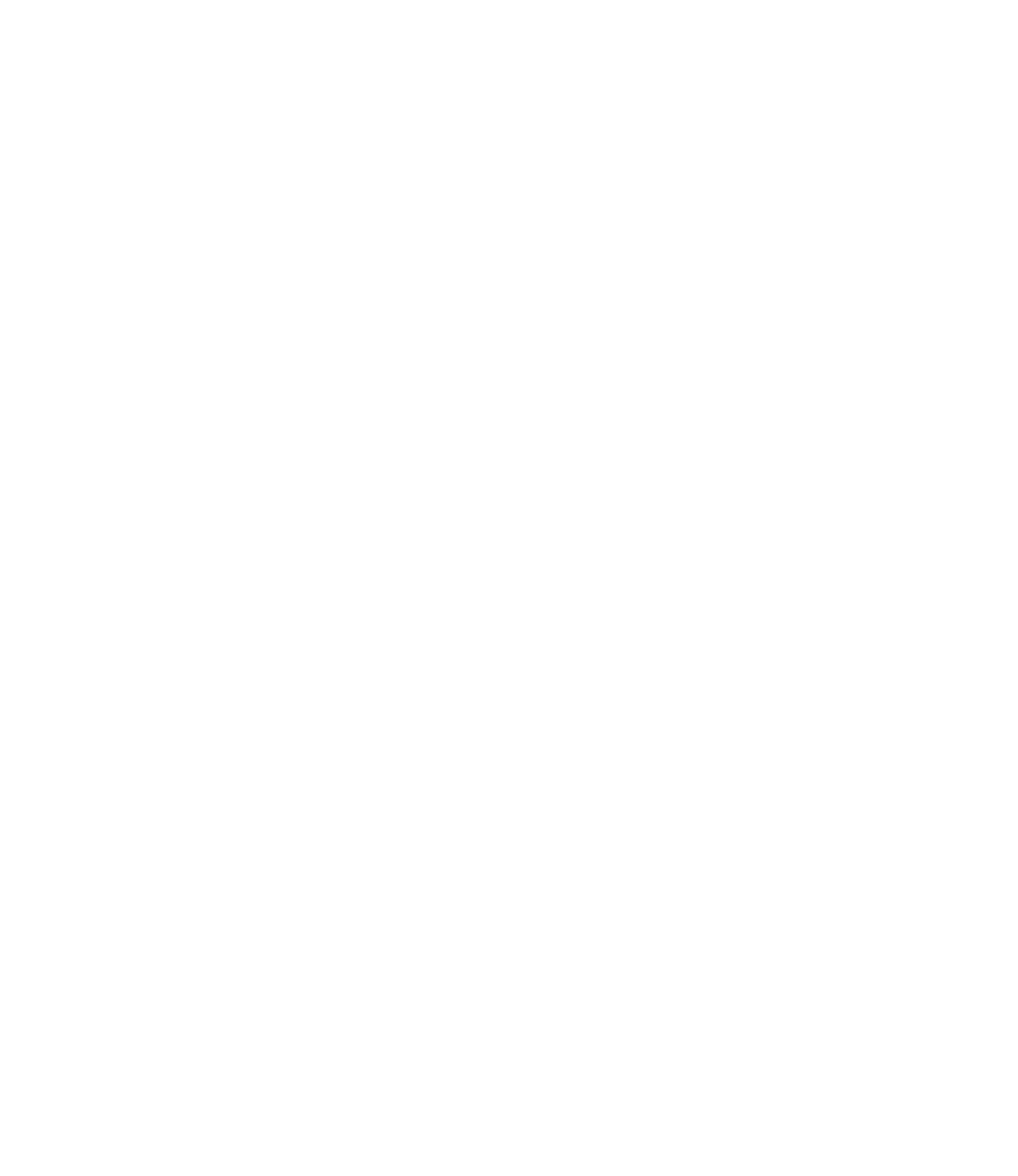 復讐者たち