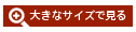 大きな画像で見る