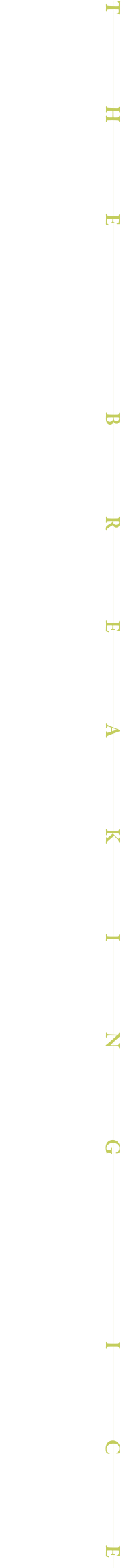 国境ナイトクルージング