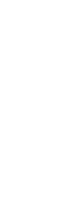 チョウ・ドンユイ　周冬雨