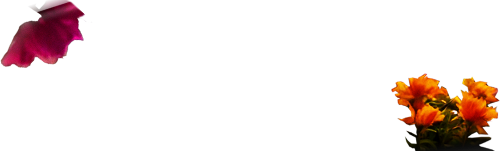 劇場情報