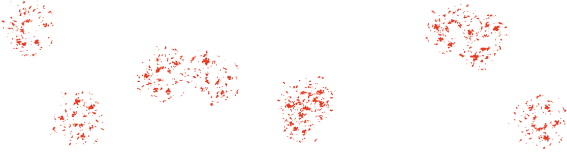 11月10日（金）TOHOシネマズシャンテほか全国公開