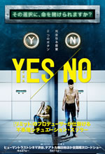 YES/NO