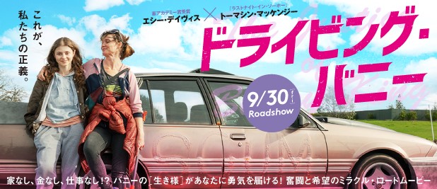 ドライビングバニー